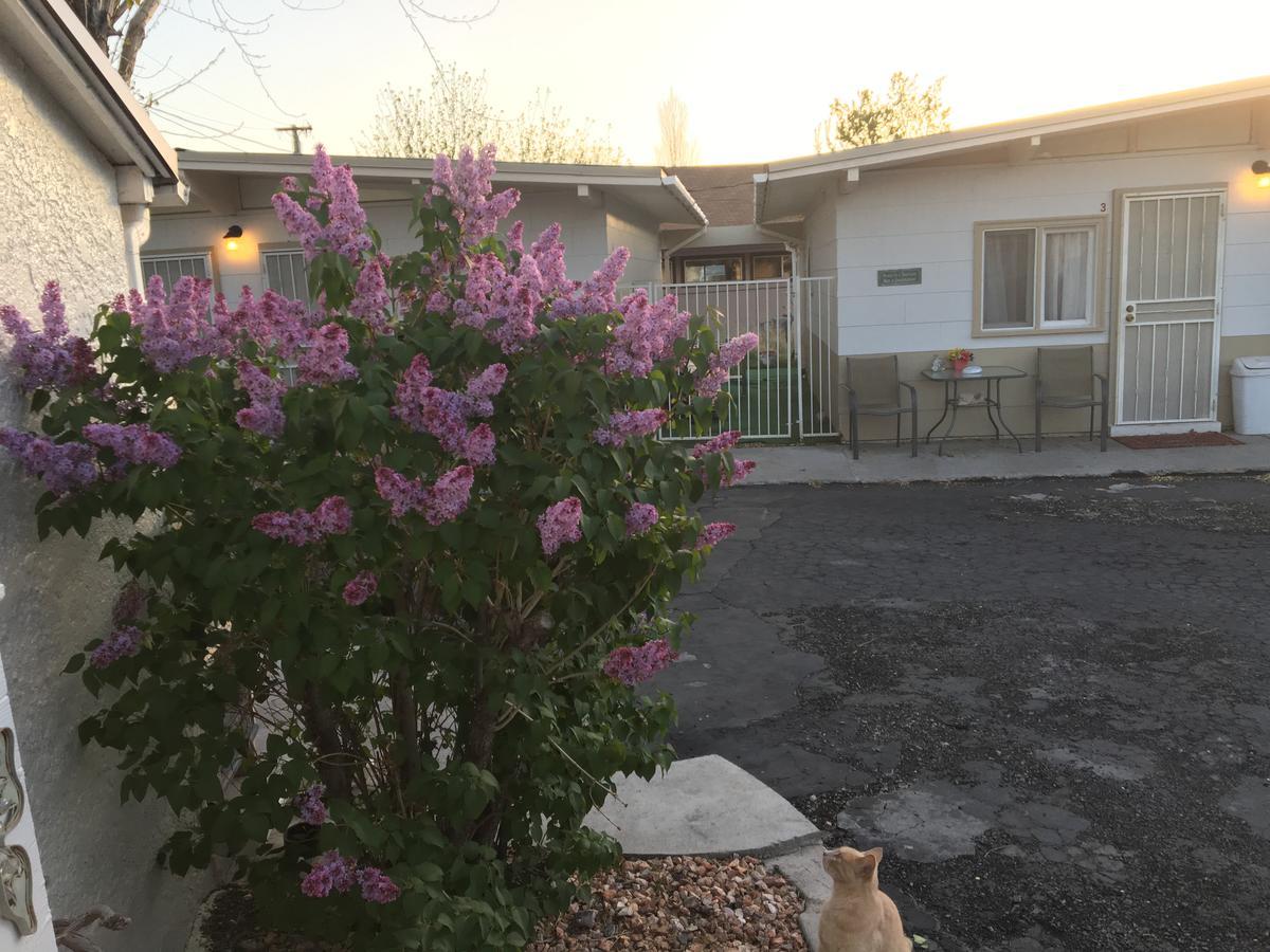 Midway Motel Caliente Экстерьер фото